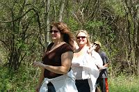 NAMIWalk07 (326) 